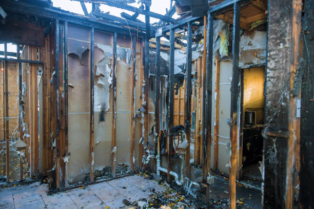 Professional Fire Damage Repair technician working in Sandy Oaks, TX